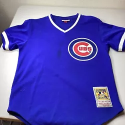 Authentic Mitchell & Ness Chicago Cubs #23 Baseball Jersey Men’s Small. Staining on front and back of Jersey, see...