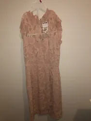 Pink Lace Party Dress. Condition is New with tags. Shipped with USPS Priority Mail.