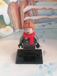 LEGO 76196 officiel Vendu comme sur les photos de lannonce en ligne sur notre boutique eBay retroandco Hesiter pas à...
