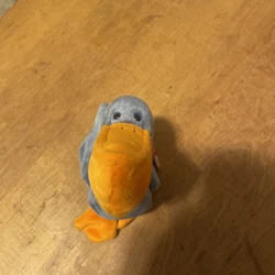 1996 ty scoop the pelican beanie baby.