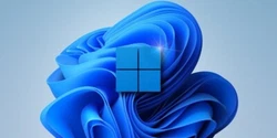 Once bought you will receive Windows 11 Pro Newest Version on a 16GB Flash Drive and a genuine Windows 11 Pro key....