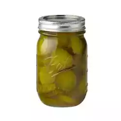 Ball® Wide Mouth Pint (16 oz.). Glass Preserving Jars are ideal for fresh preserving whole fruits and vegetables like...