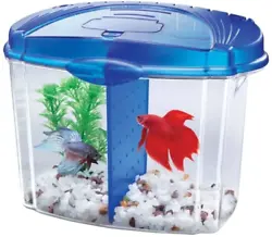 Fish tank set-up is quick and easy. Included inside each betta fish bowl is gravel, aquarium plant, divider, Betta Food...