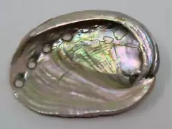 Abalone shell incense burner. These silvery and iridescent abalone shells are useful for burning cone or resin incense,...