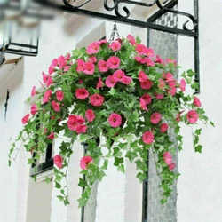 1 Bunch Atificial Morning Glory Flower（Without Basket）. Material:Silk flower. Flower Size:5.3 5.3cm. Flower...