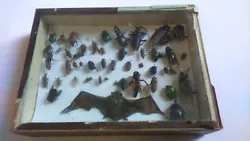 Old box of insects. Ancienne boite dinsectes. boite 30x28cm.