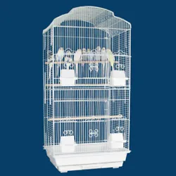 Cage Size: 18