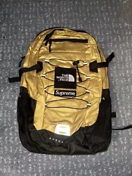 Supreme x The North Face Metallic Gold Backpack.