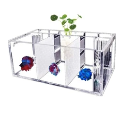 Our aquarium is specially designed for Betta Fish. Of course, if you want them to have more space for activities, you...