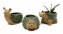 Plant your favorite succulent, cactus or small house plant whit these cute animal succulent planters. Makes great gift...