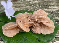 Desert Rose may support you in your endeavours to realise your dreams. NOTE: The Sahara Desert Selenite Sand Rose...
