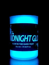 Midnight Glo Glow In The Dark Paint Acrylic Based, Aqua, 0.75 fl oz. It Will Glow For Hours. Our Glow In The Dark Paint...