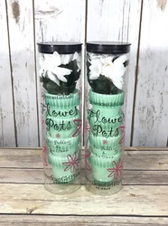Lot of 2 b35. No hassle!