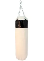 One Canvas Punching Bag. Bag is 50
