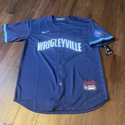 Chicago Cubs Wrigleyville Large Jersey.