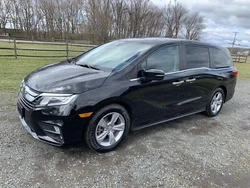 WE ARE SALVAGE CAR DEALER THAT SPECIALIZE IN AUTO SALVAGE, REBUILT AND EXPORT ONLY TITLE VEHICLES (BANK REPOSSESSIONS,...