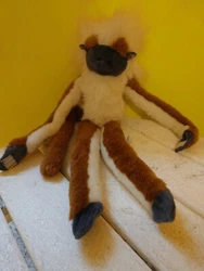 COTTON TOP TAMARIN MONKEY 18