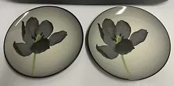 Noritake COLORWAVE GRAPHITE Floral 8034Set of 2 8-1/4” Salad Dessert Appetizer PlatesComes from a smoke-free home....