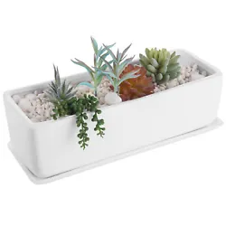 Plants not included . Small size ideal for display on desks, windowsills, table and counter top surfaces. Drainage hole...