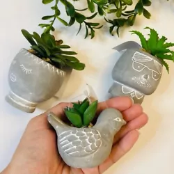 3 mini succulents w stone pots, bird & faces new.