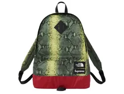 Order confirmed, item is in handSupreme x The North Face snakeskin day pack in green