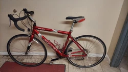 Bike was not used alot all the time was sitting in garage ...need tune  up for sure ...bike could be shipped so please...