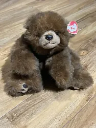 Vintage Ty Classic Plush- Baby Paws (Brown Bear Black Nose) *MUST SEE*. Bear in photos is what will be shipped to you....