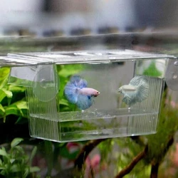 It can Prevent attack from adult fish, improve the survival rate of juvenile fish. Unique floating and transparent...
