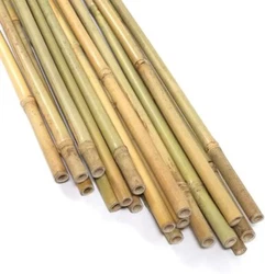 Versatile - suitable for indoor and outdoor plants such as pots, houseplants, tomatoes, beans, etc. this plant stake is...