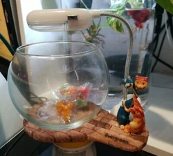 Mini Glass Bowl Beta Fish Tank With Led Light And 2 Cats Deco Included Rocks.