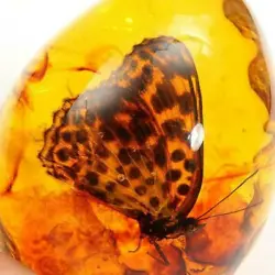 1 x Natural rough amber. Color: As shown. All pictures are for illustration purpose only and Colours may vary slightly....