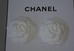 A PORTER EN BIJOU OU BROCHE OU AUTRES ACCESSOIRES. EDITION LIMITEE. COLLECTOR RARE.