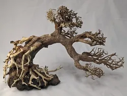 Bonsai driftwood tree, which is a special handicraft product of Aquarium Plants World, is best used for decoration in...