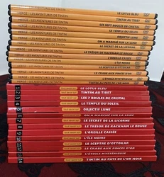 lot 14 BD / Fascicules collection Tintin tomes 1 à 14 + 14 Dvd / Tout savoir. Un transparent du dvd Tintin le sceptre...