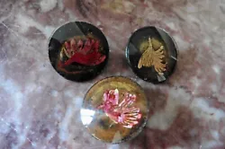 Ensemble de 3 boutons anciens Année 50, peint sous verre représentant des oiseaux stylisés. A noter : un petit...