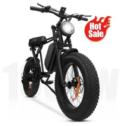 Motor：48V 1000W. N.W./G.W: 32kg/43kg. Product Size (L W H): 170 70 105cm. Battery：48V 17.5Ah. Dual Shock Absorber.