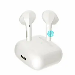 Wireless Earbuds Headphone Bluetooth 5.0 IPX6 Waterproof Quick Charge with Charging Case (White).