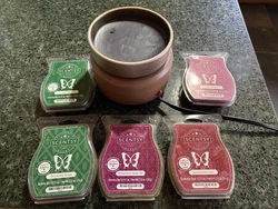 Scentsy Wax Warmer Retired Full Size. Plus 5 bars