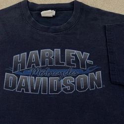 Front of shirt has a few spot stains. Back of shirt has pin sized hole. Shirt and graphics show some fading and wear....