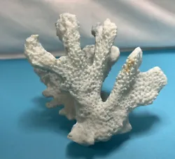 Seafoam Blue Color Coral Reef Sculpture Home Decor or Fish tank M188. Condition is Used. Shipped with USPS Priority...