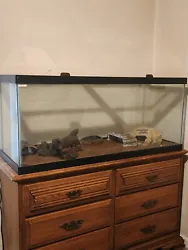 Fish Tank.  Glass aquarium with no top and no stand.  48 inches long (by) 18 inches wide (by) 21 inches tall.  A...