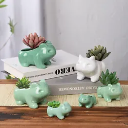 1 Frog shape succulent flower pot. Perfect for displaying a variety of flowers, succulents, cactus and more. 100Pcs...