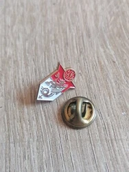 pins . État : 