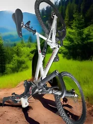 Cannondale Prophet left-fork, double-suspension mountain bike.