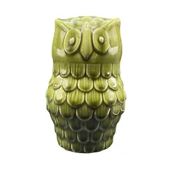 Add a touch of vintage charm to your home decor with this beautiful green ceramic owl figurine from Pier One. Made in...