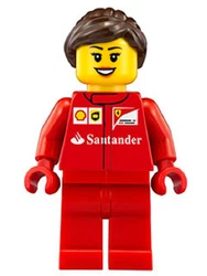 100% REAL LEGO JUST EXCTRACTED FROM THE ORIGINAL LEGO SET.