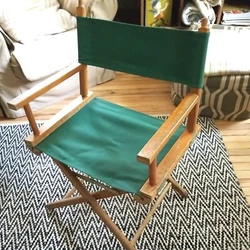Captain Chair. Directors Chair. w/Green Canvas Fabric. Fabric is good and is not faded or stained.