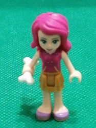 Lego Friends   Envoyé rapidement et soigné également pour la France et létranger Regroupement possible sur demande...
