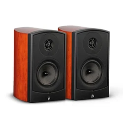 The cherry finish of these bookshelf speakers adds a touch of elegance to any room. Aperion Audio is known for its...