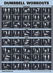 Concentrate on a single area or mix it up to get a full body workout. A muscle diagram is provided on each exercise to...
